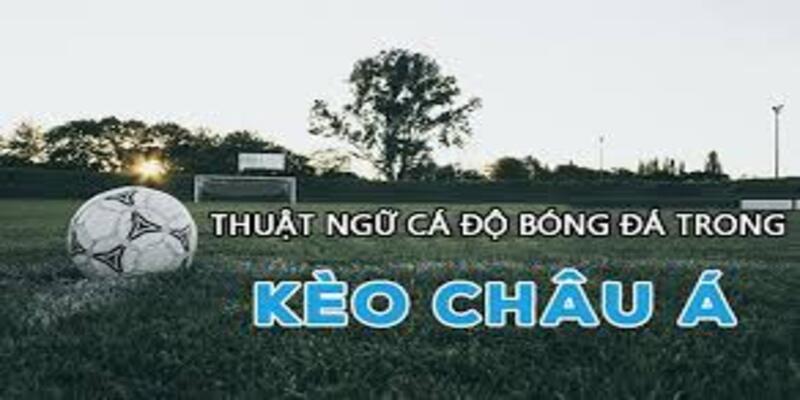 Thuật ngữ kèo cá độ bóng đá